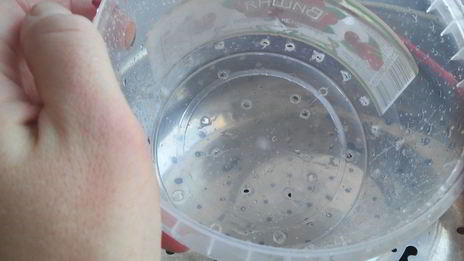 домашний адыгейский сыр