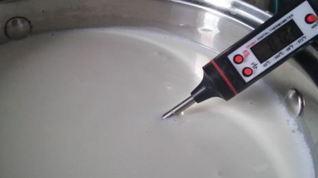 домашний адыгейский сыр