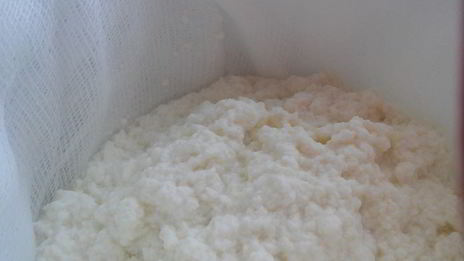 домашний адыгейский сыр