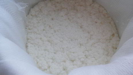 домашний адыгейский сыр