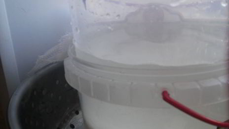 домашний адыгейский сыр