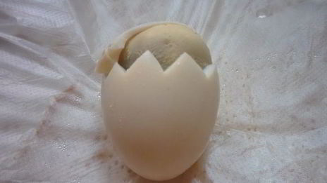 фаршированные яйца цыплята