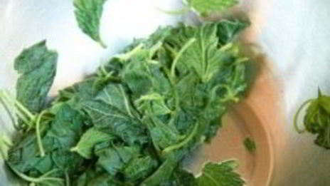 гренки с крапивой