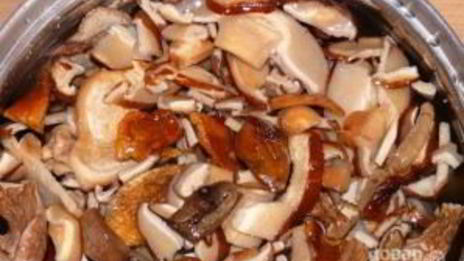 грибная икра из сушеных грибов