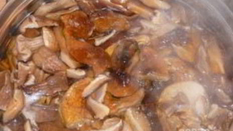 грибная икра из сушеных грибов