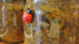 Икра грибная