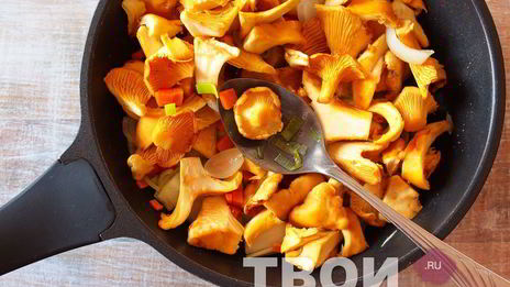 икра из лисичек