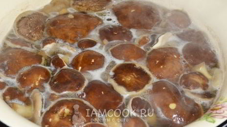 икра из моховиков