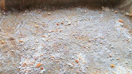 канапе из спагетти