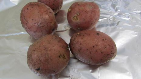 канапе праздничное