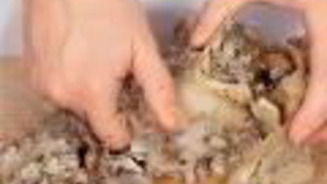 холодец с кровавой мэри