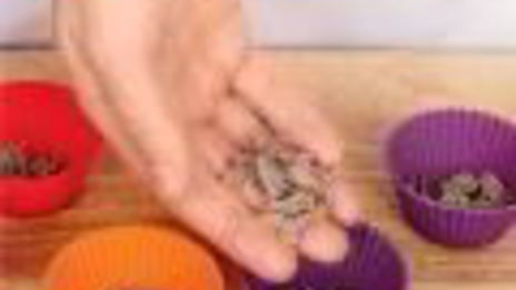 холодец с кровавой мэри