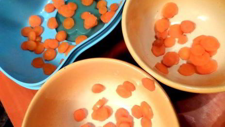 нежный холодец