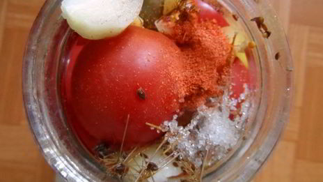 консервированные помидоры с луком и болгарским перцем