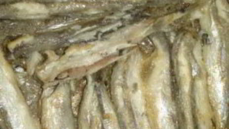 омлет рыбный