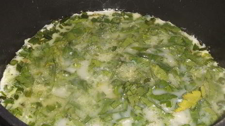 омлет с сельдереем