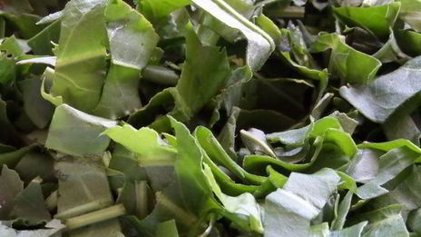 омлет со щавелем