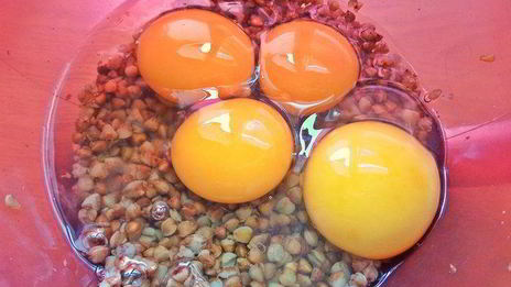 омлеты с гречкой и маслинами