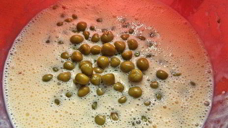 омлеты с гречкой и маслинами