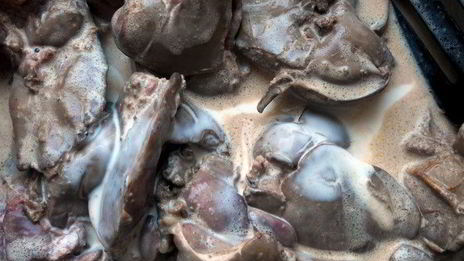 паштет из печени с черносливом