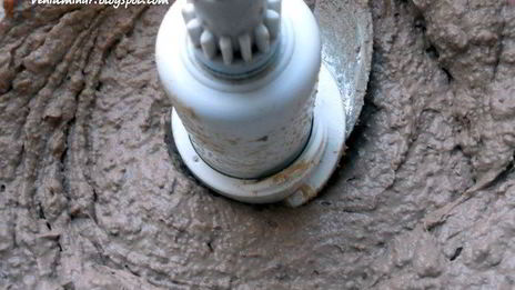 паштет из печени с черносливом