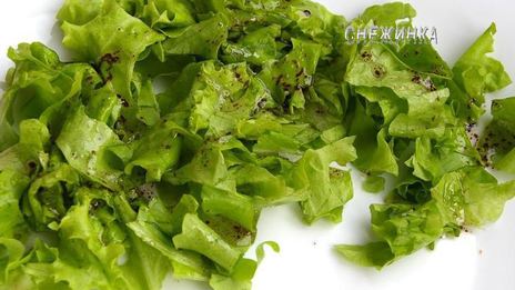 сырный паштет из цукини с миндалем