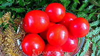 Помидоры соленые в банках