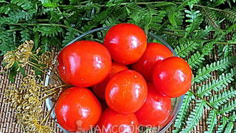 помидоры соленые в банках