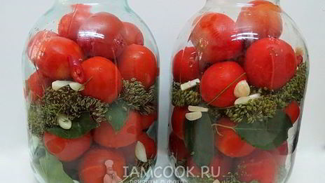 помидоры соленые в банках