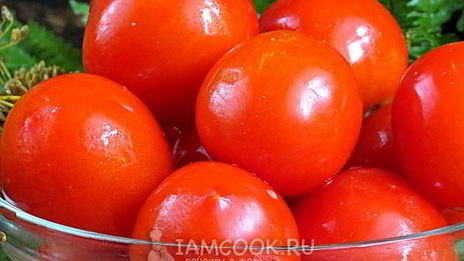 помидоры соленые в банках
