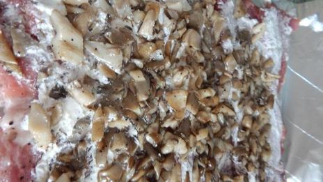 рулет из свинины с начинкой