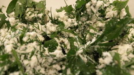 экспресс рулетики из баклажан с зеленым творогом