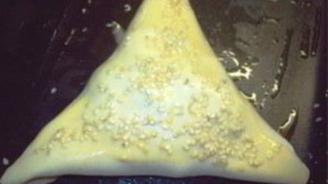 настоящая узбекская самса