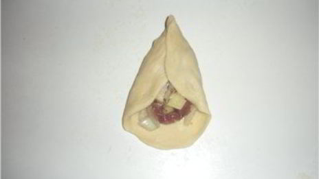 самса домашняя