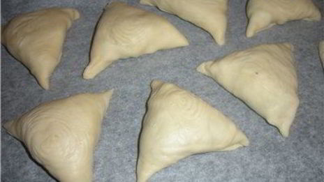 самса домашняя