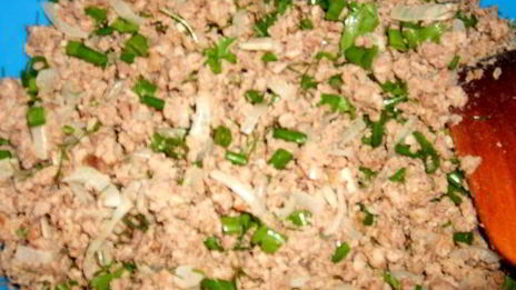 самса по-казахски