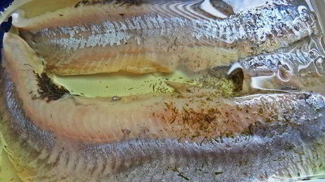 селедочная закуска угадай меня