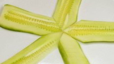 суши-торт морская звезда