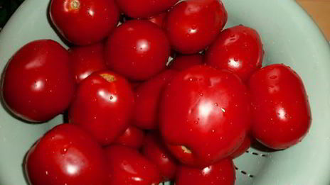 вяленые помидоры в электросушилке