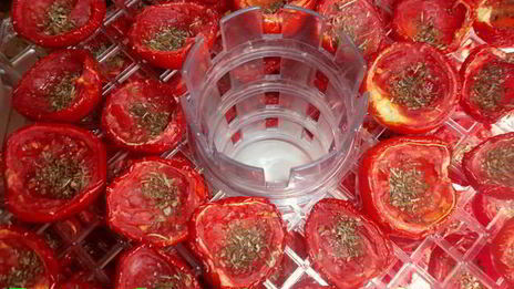 вяленые помидоры в электросушилке