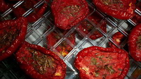 вяленые помидоры в электросушилке