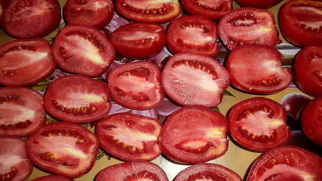 вяленые помидоры в электросушилке