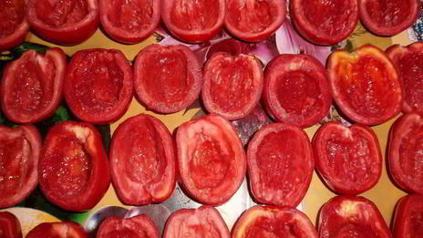 вяленые помидоры в электросушилке