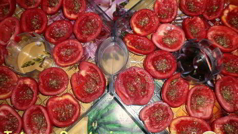 вяленые помидоры в электросушилке