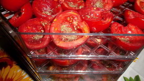 вяленые помидоры в электросушилке