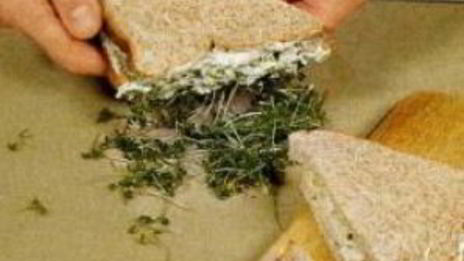 куриный сэндвич с кресс-салатом