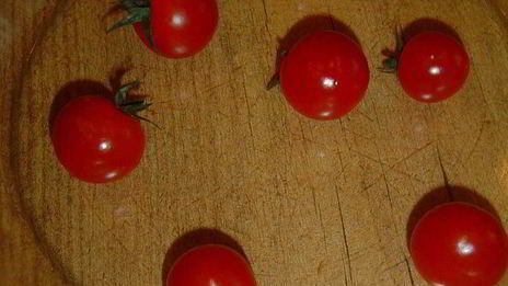 закусочные тарталетки с рокфором и помидорами черри