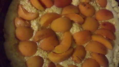 тарт с миндальным кремом и абрикосами