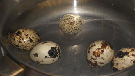 ржаные тосты с авокадо