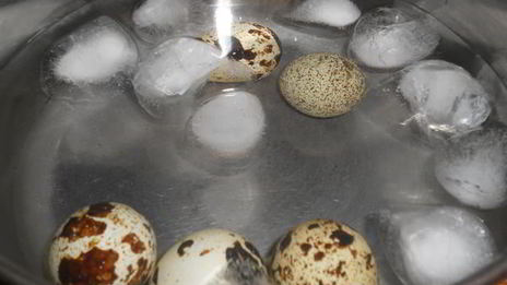 ржаные тосты с авокадо